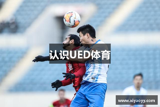 认识UED体育